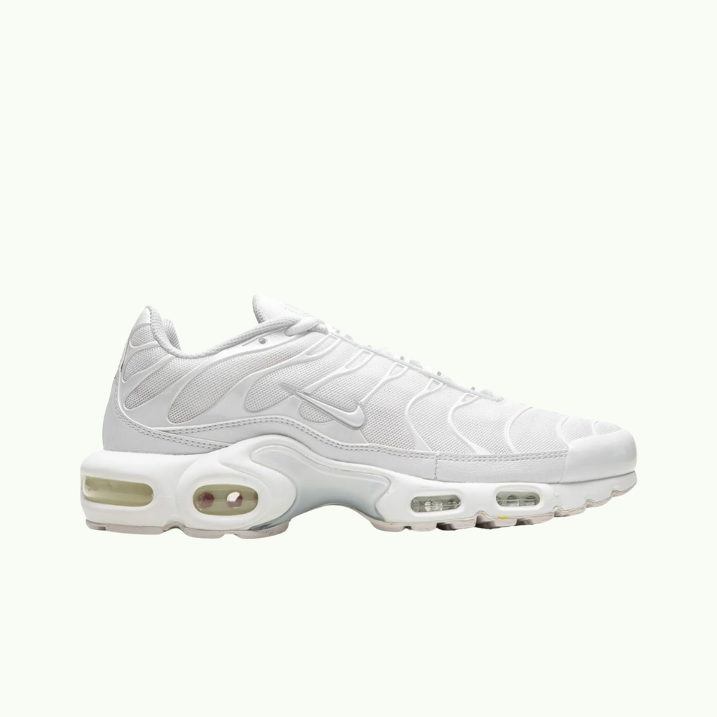 Nike Air Max Plus TN All White Air Max
