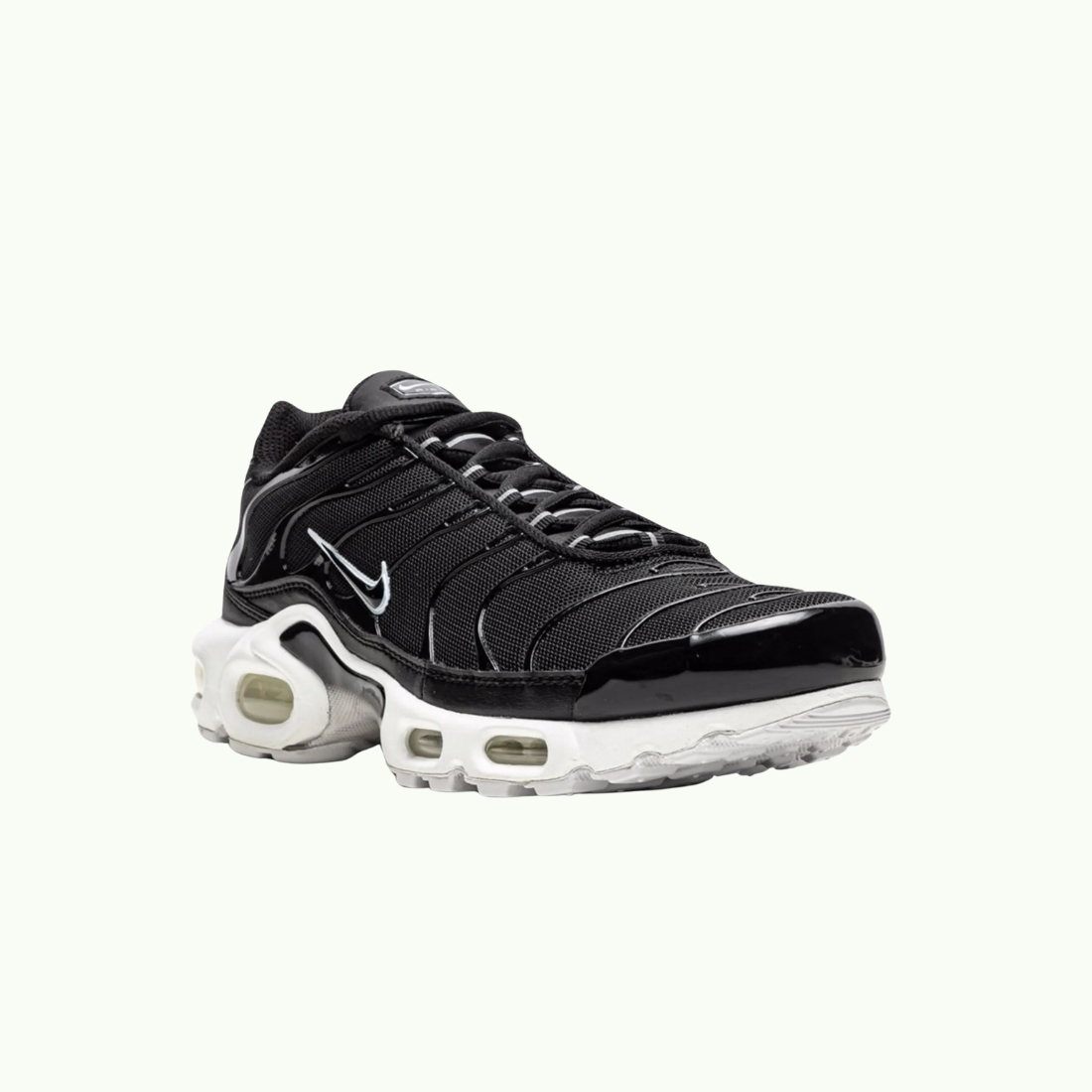Nike Air Max Plus TN Black White Air Max