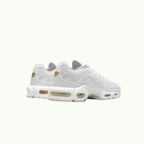 Nike Air Max Plus TN All White Air Max