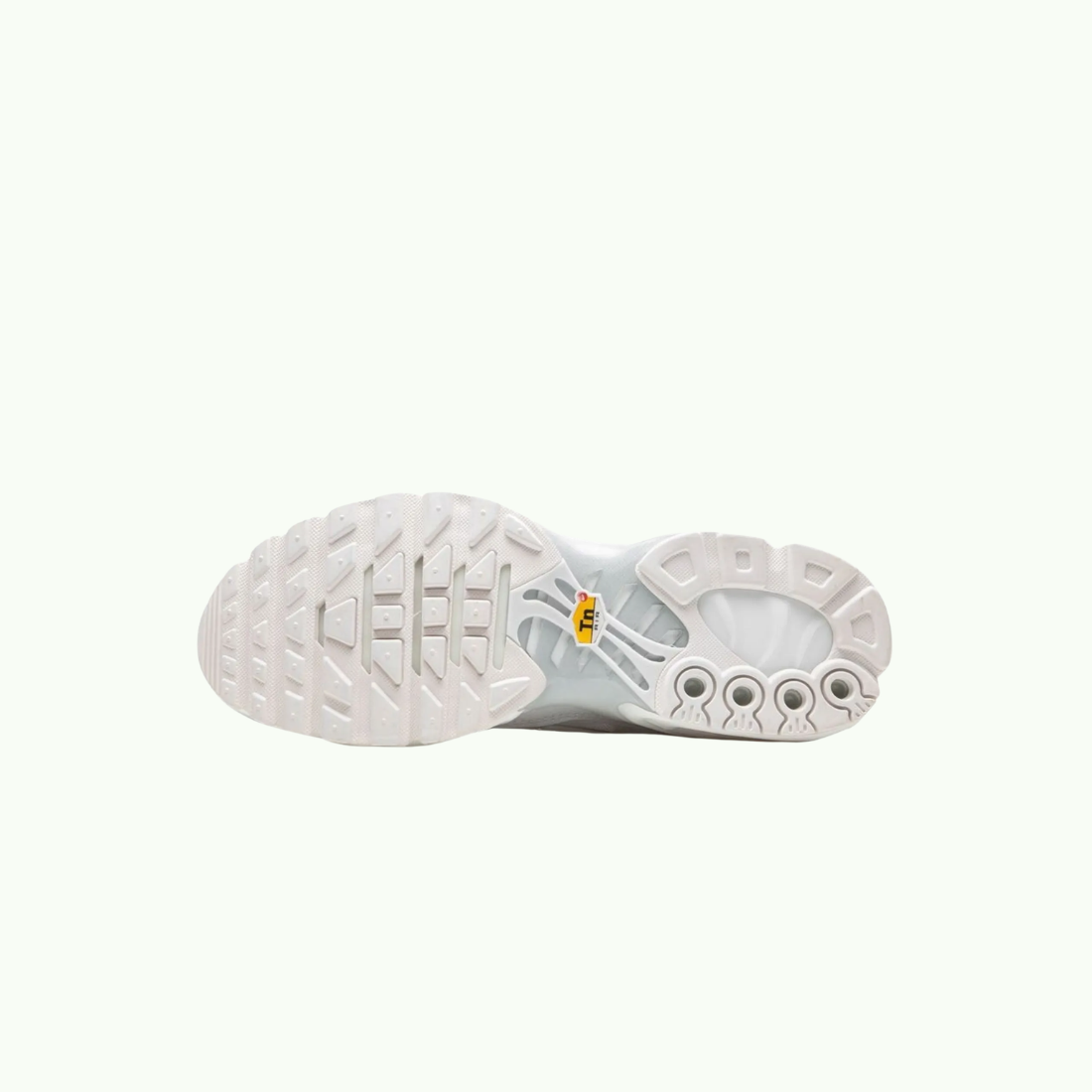 Nike Air Max Plus TN All White Air Max