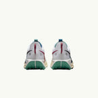 Nike Pegasus 5 Trail blanche