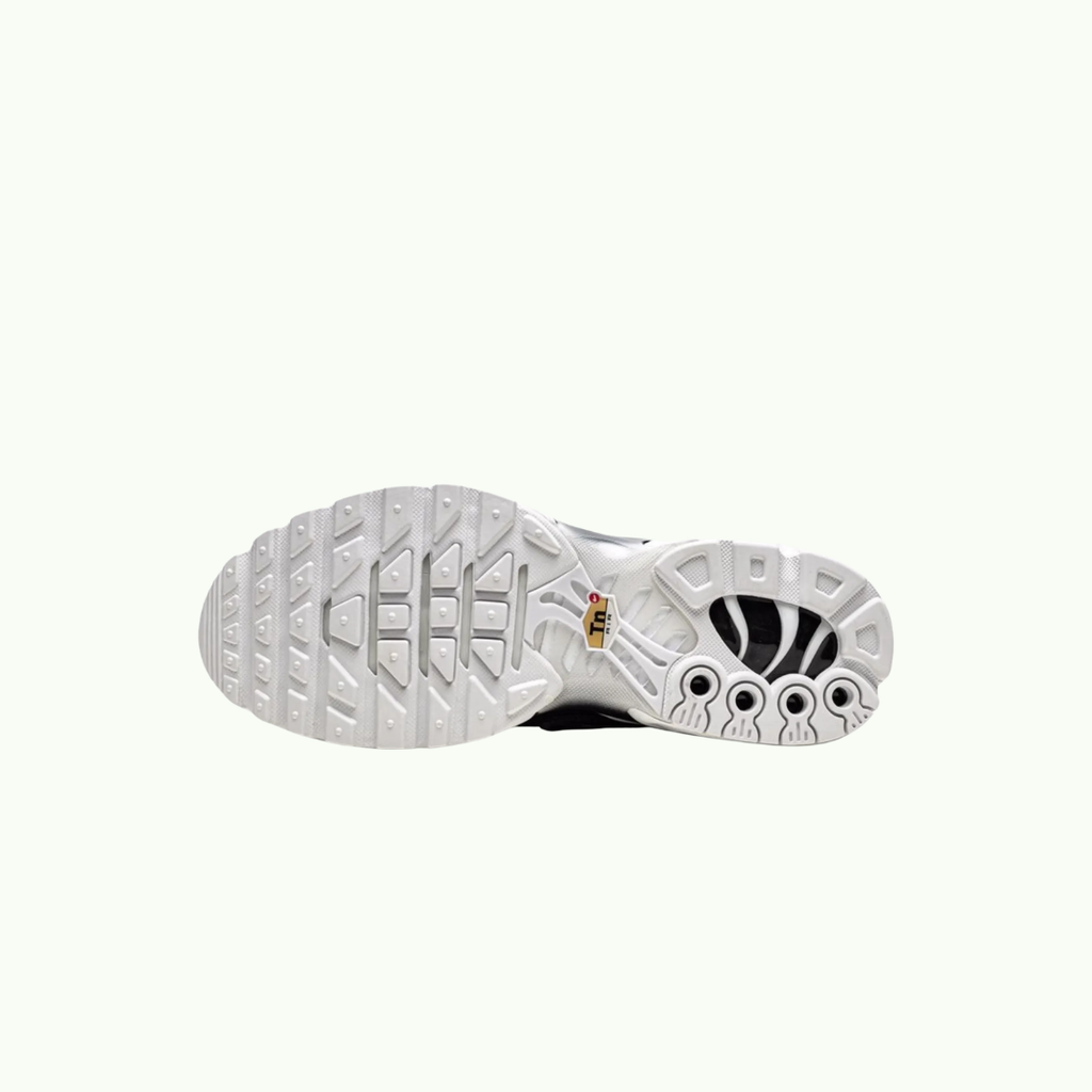 Nike Air Max Plus TN Black White Air Max
