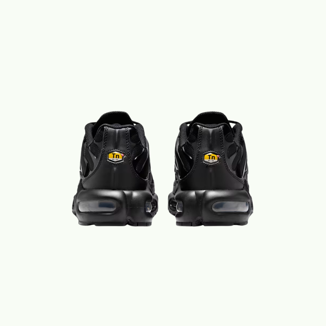 Nike Air Max Plus TN Air Max
