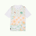 Maillot extérieur Côte d'Ivoire – Mondial 2026
