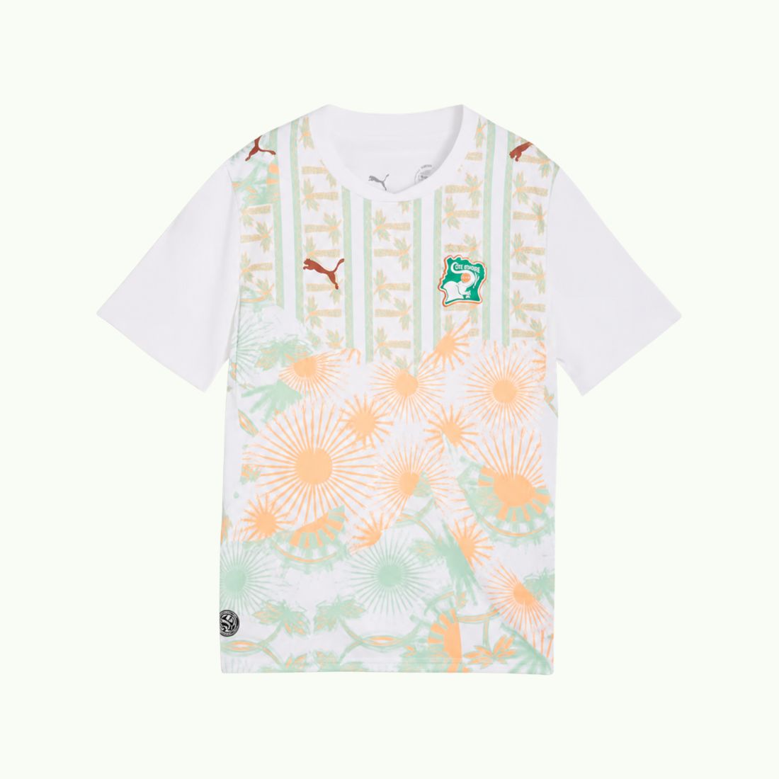 Maillot extérieur Côte d'Ivoire – Mondial 2026