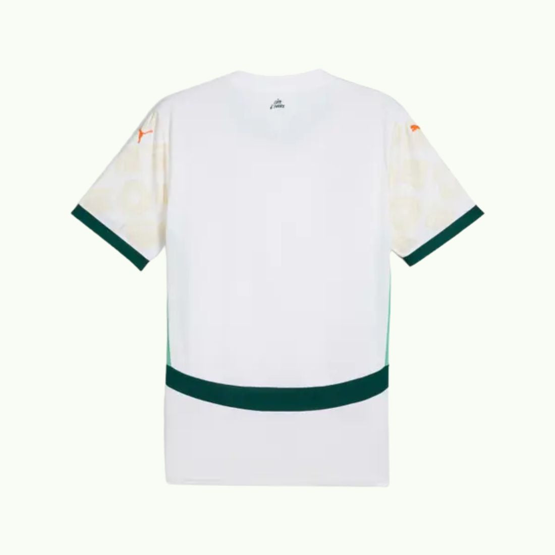 Maillot extérieur Côte d'Ivoire – Saison 2024/2025 